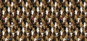 Bears, bear, artist, artwork, digital-art HD wallpaper