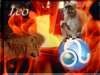Leo, taurus, monkey, horoscope, lion, sign, zodiac, metal, astrology, fire HD wallpaper