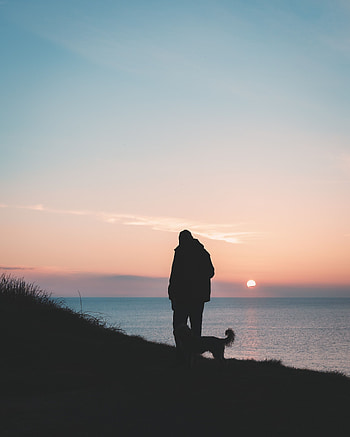 Dark, Dog, Silhouettes, Stroll, Human, Person, Friends HD phone wallpaper