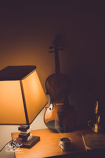 Violin NP, calm, art, music, vintatge, tints_and_shades, coffee HD phone wallpaper