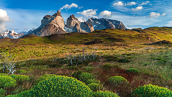 Torres del Paine National Park, Lago Peho, Southern Chile, Windows 10 spotlight HD wallpaper