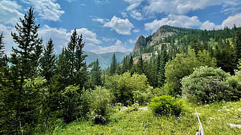 Shelf Lake Trail - Grant, Colorado, path, clouds, trees, sky, forest, usa HD wallpaper