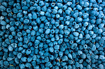 Blueberries, blueberry, fruits, food HD wallpaper