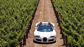 Auto, Grass, Cars, Road, Stylish, Bugatti Veyron HD wallpaper