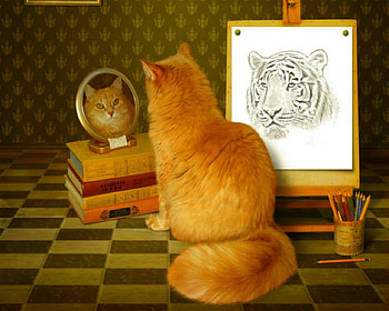Mirror mirror, mirror, animals, cute, cat, funny HD wallpaper
