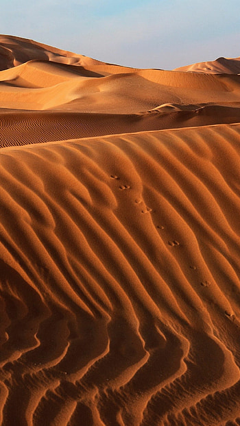 Golden sand dunes, Desert mirage, Endless horizons, Nature's masterpiece HD phone wallpaper