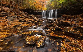 Waterfall, water, forest, stream HD wallpaper