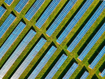 High-angle aerial shot of solar panels in a lush green field, located in Rockbeare, UK. HD wallpaper