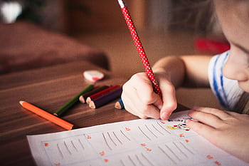 Close-up of a child completing homework using colorful pencils, focused on learning. HD wallpaper