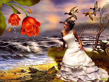 THE ADMIRER, wild ducks, butterflies, lady, waves, flowers, ocean, beach HD wallpaper