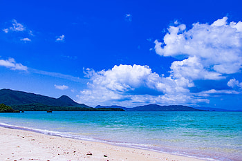 Sunny day, blue sky, beach HD wallpaper
