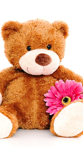 Teddy Wale, Teddy With Flower HD phone wallpaper
