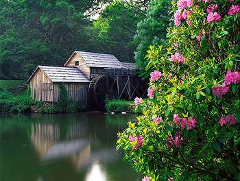Old water mill, pond, mill, summer, reflection, spring, forest, lake HD wallpaper
