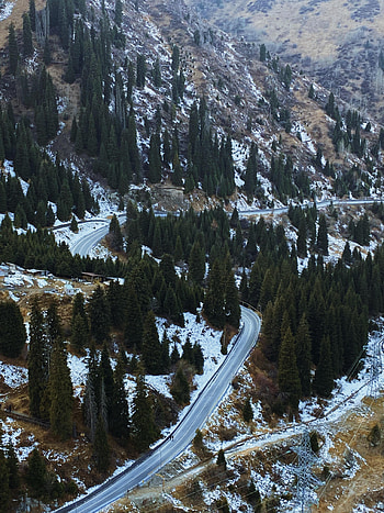 Nature, Trees, Snow, View From Above, Road, Slope HD phone wallpaper