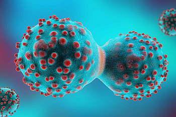 Mitosis, Biology HD wallpaper