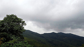 Nature, Trees, Grass, Sky, Mountains, Dahl, Distance HD wallpaper