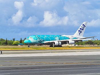 All Nippon Airways, Promotions HD wallpaper