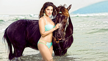 Sunny Leone, SUnny, actress, modl, leone HD wallpaper
