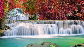 ed Tag - Autumn Season Paradise Splendid Beautiful Four Waterfall Attractions Plants Trees Stunning Pre Love HD wallpaper