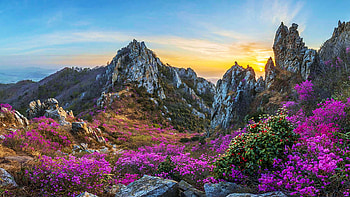 Blooming Time, Deokryongsan, South Korea, wildflowers, colorslandscape, blossoms, colors, sky, mountains, rocks, sunset HD wallpaper