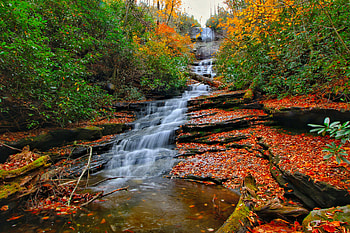 Water cascades in forest, leaves, fall, autumn, waterfall, beautiful, forest, stones, foliage, trees HD wallpaper