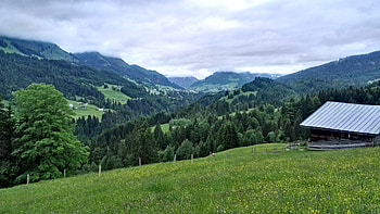 Nature, Grass, Mountains, Elevation, Germany, Allgäu, Allgoy HD wallpaper