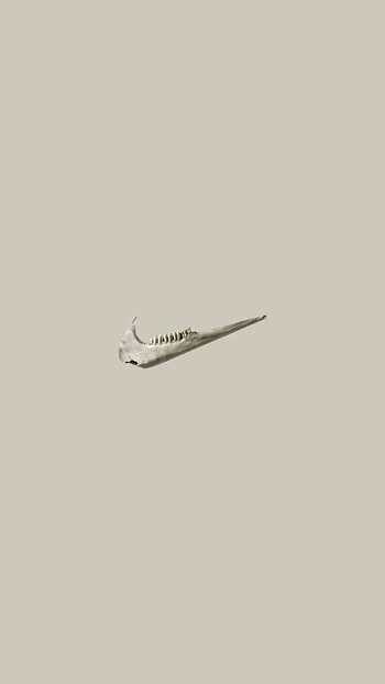 Nike, art, jewellery HD phone wallpaper