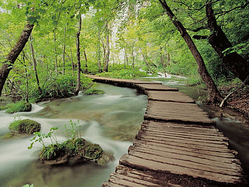 Landscape, Nature, Rivers, Bridges, Trees HD wallpaper