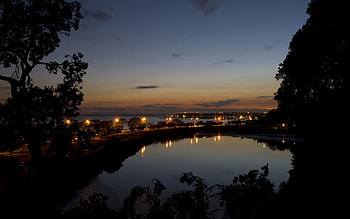 Cities, Trees, Lights, Shine, Light, Night City HD wallpaper