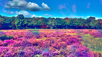 Abstract, Nature, Trees, Grass, Forest, Field, Paints HD wallpaper
