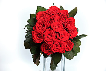 Red Roses, bouqet, still life, roses, red, colors, nature, flowers, glas HD wallpaper