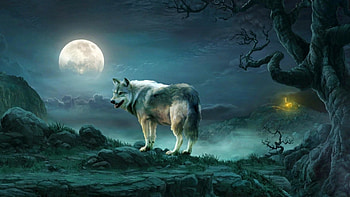 Title HD wallpaper