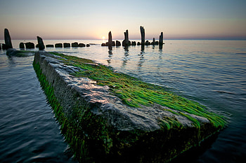 Vibrant Start, blue, morning, beginning, colors, sunrise, green, nature, sky, ocean HD wallpaper