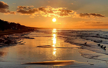 Sunset in Latvia, Latvia, sea, sunset, beach HD wallpaper