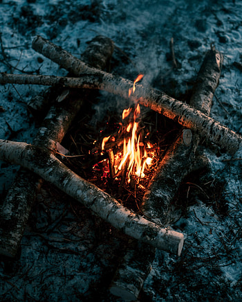 Nature, Fire, Bonfire, Flame, Firewood HD phone wallpaper