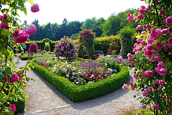 Rosarium, Flower Garden HD wallpaper