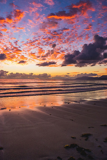 Nature, Sea, Sand, Horizon, Shore, Bank HD phone wallpaper