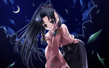 Anime, Night, Moon, Field, Girl, Hair HD wallpaper