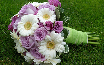Flowers, Roses, Gerberas, Registration, Typography, Bouquet HD wallpaper