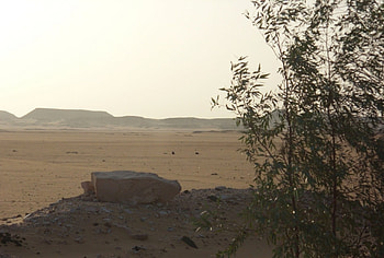 Lonely desert, nature, deserts HD wallpaper