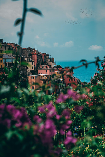 Cities, Flowers, Sea, Italy, City, Building HD phone wallpaper