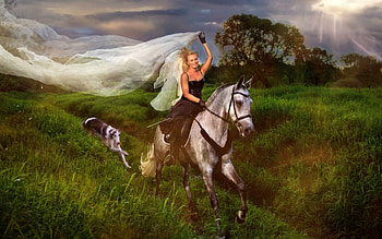 Runaway Cowgirl Bride, dog, rays, horse, cowgirl, blonde, greyhound, veil, dress, sun rays, field, clouds, trees, sky, bride, sun HD wallpaper
