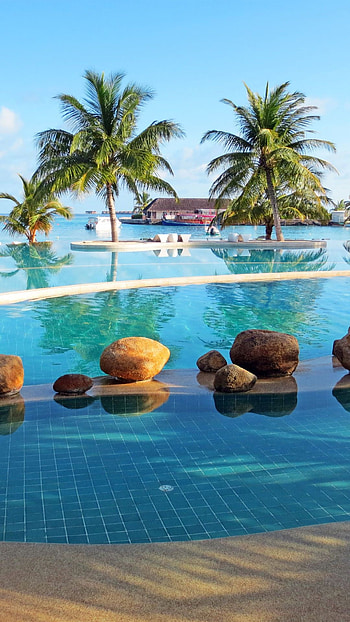 Bali oasis, Palm tree sanctuary, Reflections of sky, Tropical haven HD phone wallpaper