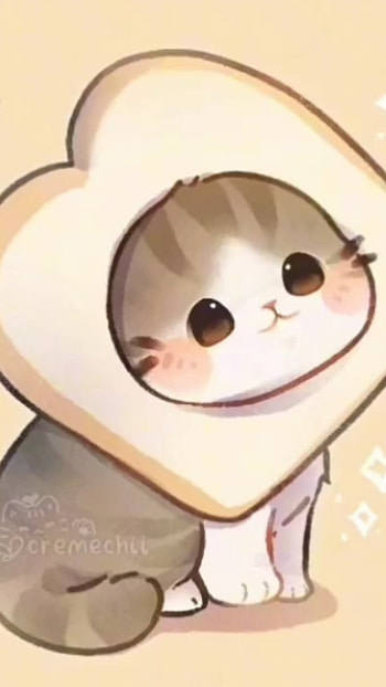 Cat Whit A Bread Meme, Cute, Kitty HD phone wallpaper