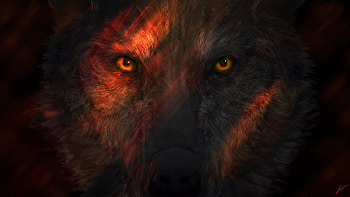 Wild Wolf Eyes, wolf, animals, artist, artwork, digital-art, deviantart HD wallpaper