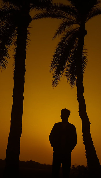 Silhouette people, people_in_nature, sky HD phone wallpaper