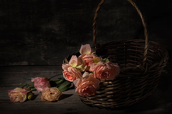 Roses, Flowers, Still life, Basket HD wallpaper
