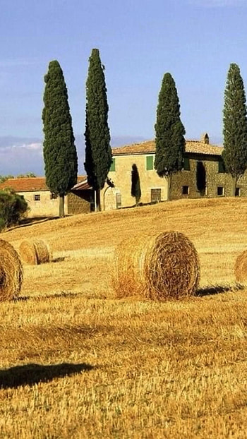 Tuscany Italy, Vacation destination, Stunning landscapes, Serene beauty HD phone wallpaper