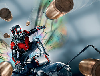 Ant Man , ant-man, movies HD wallpaper