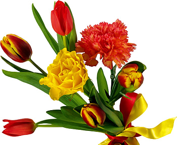 Flowers, Tulips, Carnations, Bouquet, Bow, Tape HD wallpaper